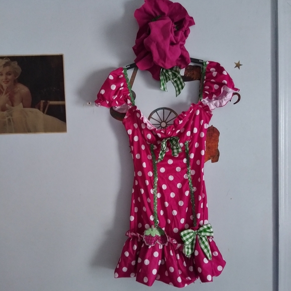 Raspberry girl costume